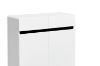 Picture of DETROIT 2-Drawer 2-Door Shoe Cabinet (High Gloss White)