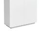 Picture of DETROIT 2-Drawer 2-Door Shoe Cabinet (High Gloss White)
