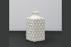 Picture of CERAMIC DETAILED Bottle Vase