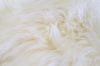 Picture of SHEEPSKIN Small/Medium/Large Rug (100% Genuine) (White)