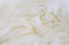 Picture of SHEEPSKIN Rug (White) -  Small