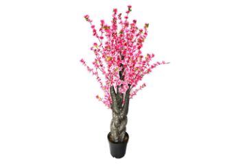 Picture of ARTIFCIAL PLANT Peach Blossom 150cm