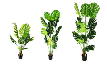Picture of ARTIFICIAL Plant Monstera Delicosa - 140CM