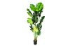Picture of ARTIFICIAL PLANT Monstera Delicosa (90cm/140cm/180cm Tall)