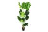 Picture of ARTIFICIAL Plant Monstera Delicosa - 140CM