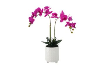 Picture of ARTIFICIAL PLANT Pink Orchid with White Vase (H55cm)