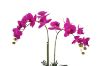 Picture of ARTIFICIAL PLANT Pink Orchid with White Vase (H55cm)