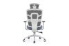 Picture of HINO Office Chair (Light Blue)