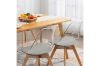 Picture of EFRON Dining Chair with Grey Cushion (Clear)