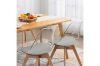 Picture of EFRON Dining Chair with Grey Cushion (Clear) - Single