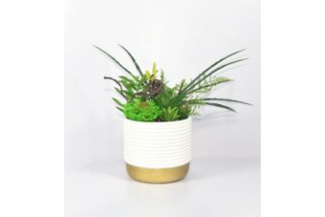 Picture of ARTIFICIAL PLANT 280 with Vase (14cm x 36cm)