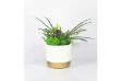 Picture of ARTIFICIAL PLANT 280 with Vase (14x36cm)