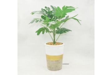 Picture of ARTIFICIAL PLANT 284 with Vase (34cm x 45cm)