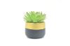 Picture of ARTIFICIAL PLANT 285 with Vase (12x19cm)