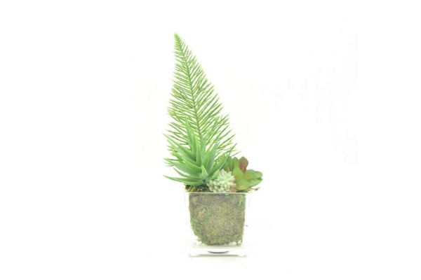 Picture of ARTIFICIAL PLANT 287 with Vase (6.5cm x 20cm)