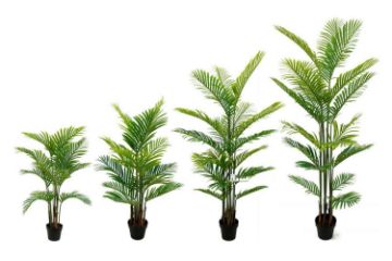 Picture of ARTIFICIAL PLANT H90/H120/H150/H200cm Palm (Black Plastic Pot)