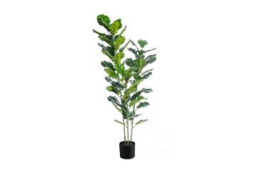 Picture of ARTIFICIAL PLANT Slim Branch Fiddle Leaf (150cm) 