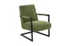 Picture of PARAMOUNT Corduroy Fabric Arm Chair (Green)