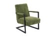 Picture of PARAMOUNT Corduroy Fabric Arm Chair (Green)