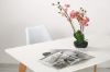 Picture of (FLOOR MODEL CLEARANCE) EFRON 1.6M Dining Table 