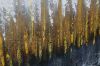 Picture of H81 Hand Oil Painting Canvas Wall Art With Golden Frame (80x140cm)
