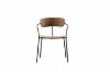 Picture of LYRA Dining Arm Chair (Walnut)