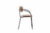 Picture of LYRA Dining Arm Chair (Walnut)