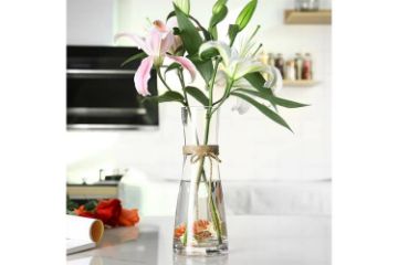 Picture of SMOOTH Slim-Waisted Transparent Glass Vase