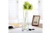 Picture of SMOOTH Slim-Waisted Transparent Glass Vase