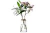 Picture of SMOOTH Slim-Waisted Transparent Glass Vase