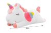 Picture of CUTE RAINBOW Big/Small with Winged Unicorn Cushion  (Pink/White/Green)