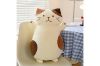 Picture of CUTE CHEESE CAT Large/Small Plush Cushion