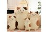 Picture of CUTE CHEESE CAT Plush Cushion - Small