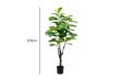 Picture of ARTIFICIAL PLANT Fiddle Leaf (Black Plastic Pot) - 120cm Tall