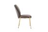 Picture of OLA Velvet Lounge Chair with Golden Legs (Brown)