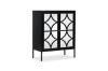 Picture of STARK Steel Frame 2-Mirror Door Cabinet (Black)
