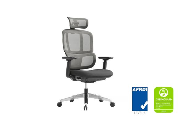 Picture of H2 Yoga Based Ergonomic Chair with 30° Swing Back Function