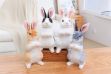 Picture of EASTER Bunny Plush Cushion Multiple Colors