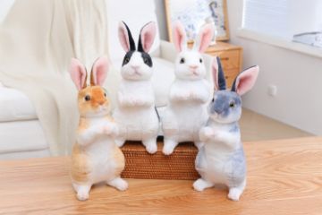 Picture of EASTER Bunny Plush Toy Multiple Colors