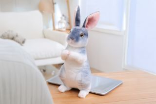 Picture of EASTER Bunny Plush Toy - Grey