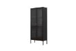 Picture of STARK Steel Frame 180x80cm 2-Door Transparent Glass Display Cabinet (Black)