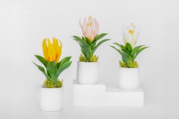 Picture of  Set of 3 - ARTIFICIAL Flower Potted Plants Decorative Set