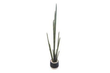 Picture of ARTIFICIAL Sansevieria Potted Plant (120cm Tall)
