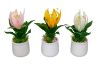 Picture of  Set of 3 - ARTIFICIAL Flower Potted Plants Decorative Set