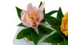 Picture of  Set of 3 - ARTIFICIAL Flower Potted Plants Decorative Set