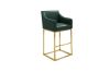 Picture of HESPER Bar Stool with Arms & Golden Finish Base (Green) 