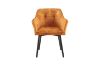 Picture of TAMPA Arm Dining Chair (Caramel) 
