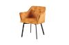 Picture of TAMPA Arm Dining Chair (Caramel) 