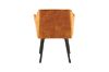 Picture of TAMPA Arm Dining Chair (Caramel) 
