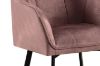 Picture of TAMPA Arm Dining Chair (Taupe)